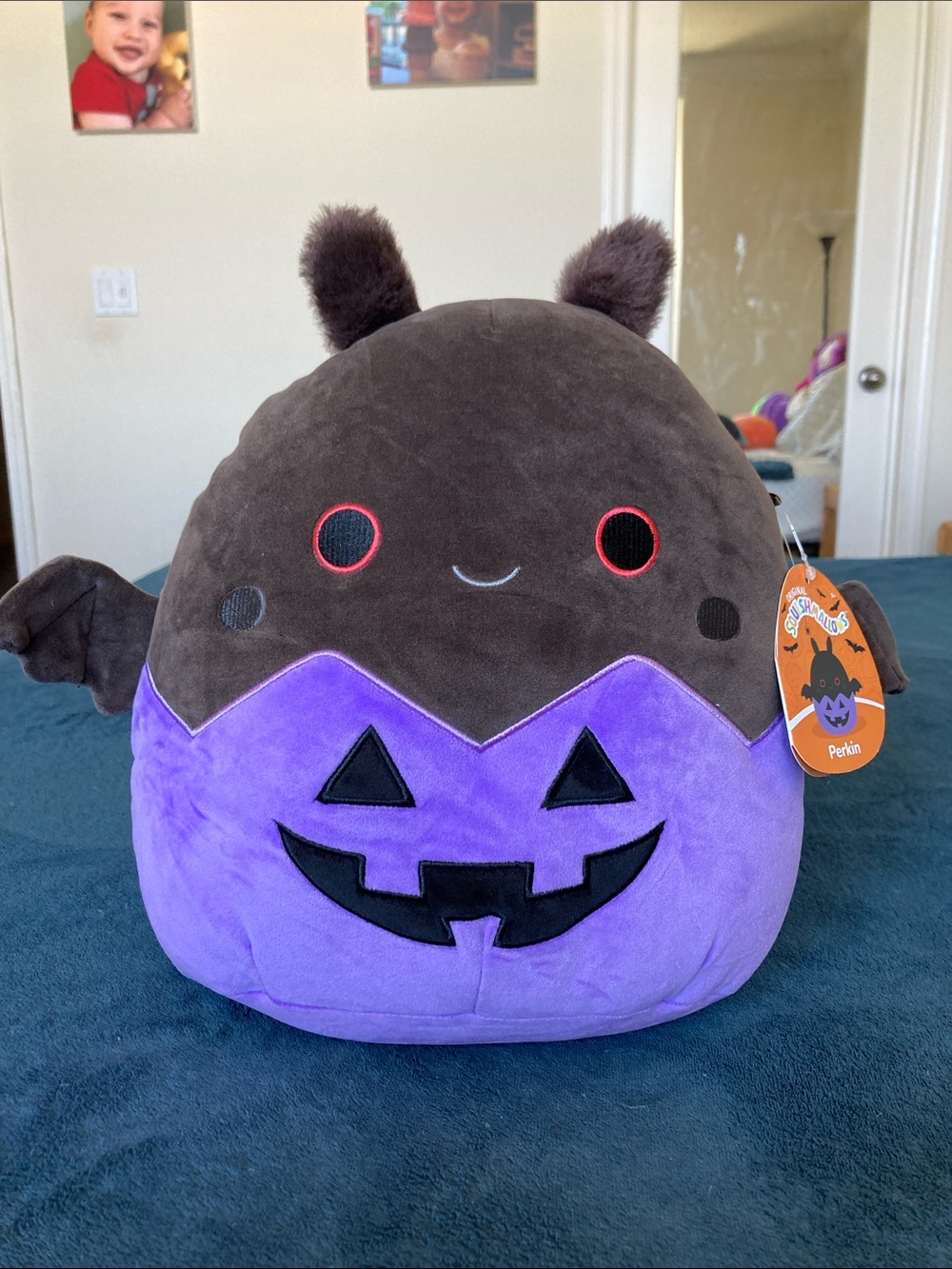 Squishmallows Purple and black mothman in a pumpkin Halloween Plushie